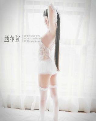 文豪野犬第二季_4K高清视频观看