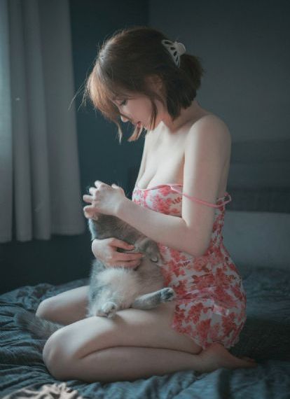 成全视频在线观看在线播放高清_BD英语手机在线看